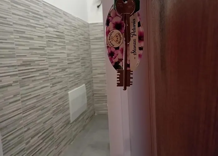 Bed & Breakfast Bbx 2